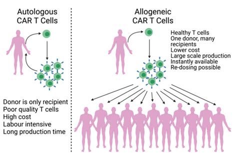 Cancers Free Full Text Current Perspectives On The Use Of Off The