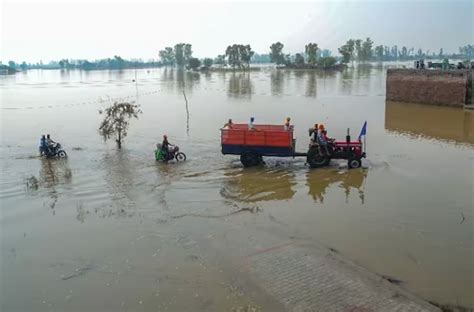 Flood Situation In 9 Districts Of Punjab Due To Rain In Himachal