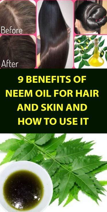 Benefits Of Neem Oil For Hair And Skin And How To Use It Neem Oil