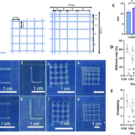 A Design Of The Bioprinted Scaffolds To Study The Printability And