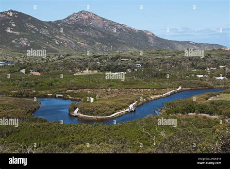 Wilsons Promontory National Park Lilly Pilly Gully Circuit Stock Photo