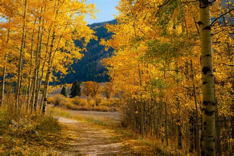 Colorado Fall Foliage Hikes | Devil's Thumb Ranch Resort & Spa