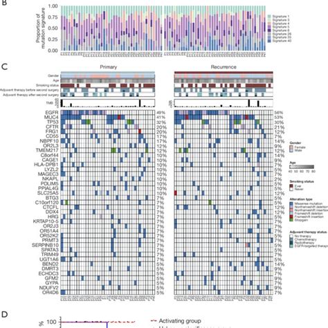 Mutation Landscape Of Tumor Samples And Patients Prognosis With Egfr