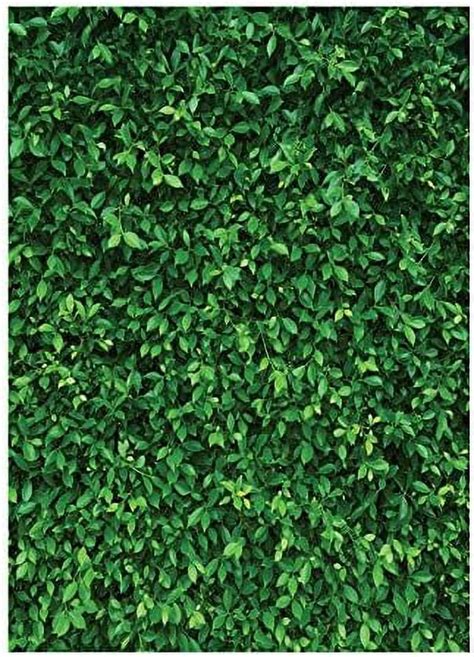 7x5FT Green Leaves Photography Backdrops Nature Backdrop Birthday