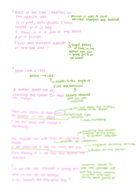 Solution Mirror Sylvia Plath Notes Studypool