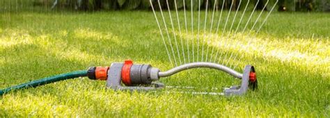 Watering Your Lawn Milorganite