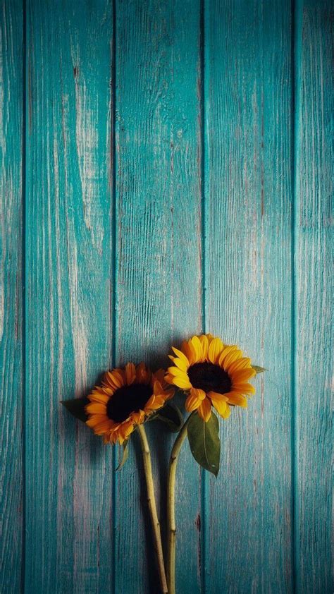 Rustic Sunflower Wallpapers - Top Free Rustic Sunflower Backgrounds ...