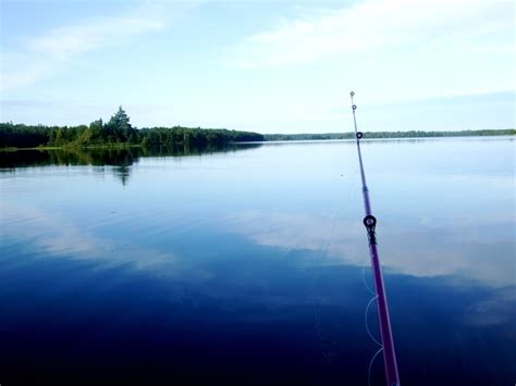 Two Island Lake, Minnesota | Island lake, Favorite places, Lake