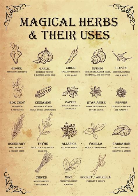 Magical Herbs Poster Hedge Witch, Garden Witch, Magickal Herbs Poster ...