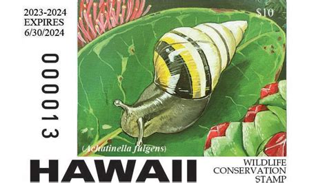 Winners of the 2023-2024 Hawaii hunting stamps announced