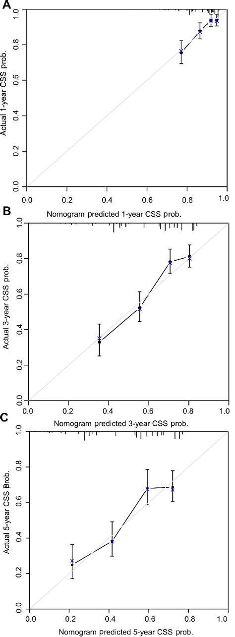 Calibration Curves Of The Nomogram Predicting CSS In The Training