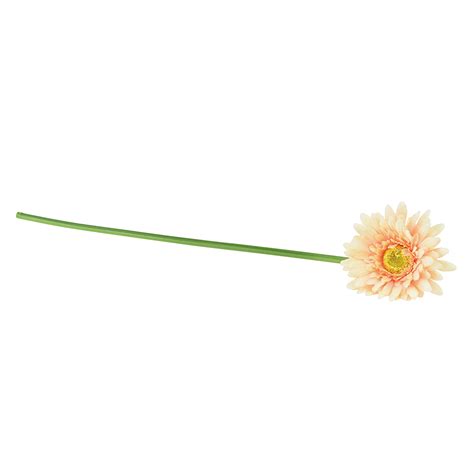 Floristik24 de Künstliche Blumen Gerbera Apricot 47cm