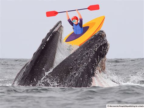 Incredible Survival: Man Survives Being Swallowed by a Giant Whale! - Hunter Games Magazine