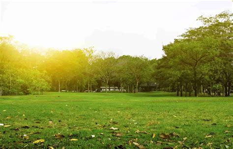 11 Famous Parks in Hyderabad | Parks in Hyderabad for Family | Treebo Blogs