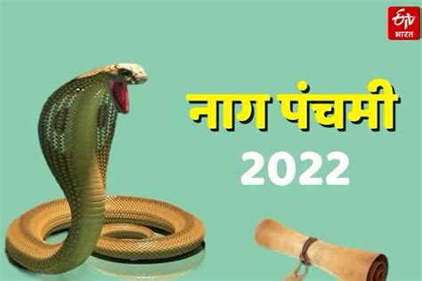 Nag Panchami 2022 नागपंचमी के दिन इस शुभ मुहूर्त में करें पूजा कालसर्प दोष से हैं परेशान तो ये