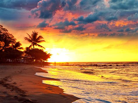 Beach Paradise Sunset Wallpapers - Top Free Beach Paradise Sunset Backgrounds - WallpaperAccess