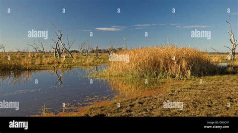 Outback Feuchtgebiete Stockfotos Und Bilder Kaufen Alamy