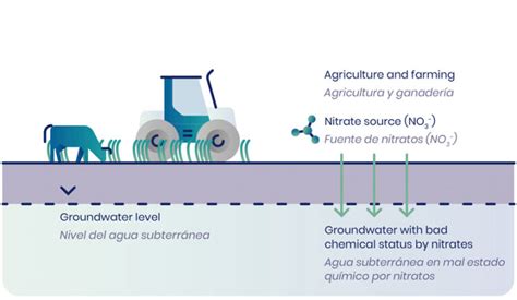 Reducción de Nitratos Acuíferos Cómo Preservar Nuestros Recursos