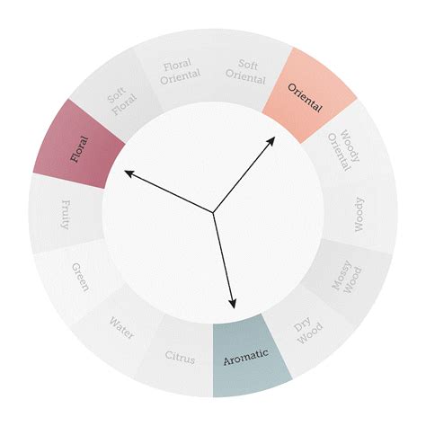 Fragrance Wheel Perfume Classification Chart