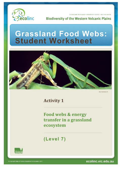 (PDF) Grassland Food Webs: Student Worksheet · Food webs & energy ...