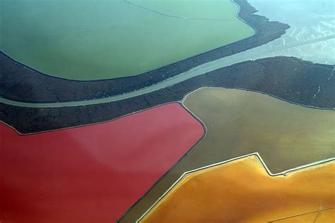 San Francisco Bay Salt Ponds Wikipedia