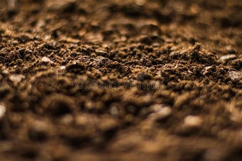 Earth Ground Texture As Background, Nature and Environment Stock Image ...