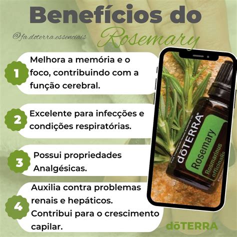 Rosemary Dōterra Óleo Essencial Óleos Essenciais Doterra Misturas De óleos Essenciais