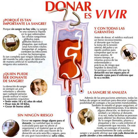 La Importancia De Donar Sangre Porque Como Hacer