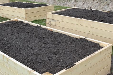 How To Keep Raised Bed Soil Healthy Give New Life To Old Soil