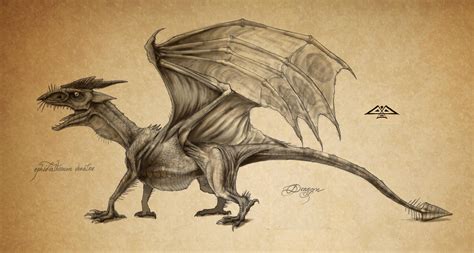 Rat Dragon By Jackrover On Deviantart