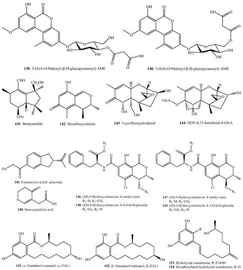 Detoxification of Mycotoxins through Biotransformation