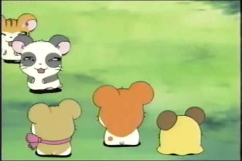 Tottoko Hamtarou Episode 112 English Subbed Watch Cartoons Online