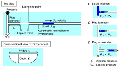 Transport Of A Micro Liquid Plug In A Gas Phase Flow In A Microchannel