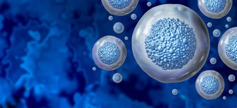 Regenerative Medicine | Conditions & Treatments | UT Southwestern ... 