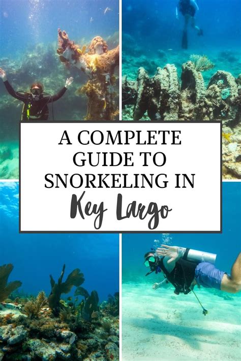 Key Largo Snorkeling A Detailed Guide On Tours Spots More Artofit