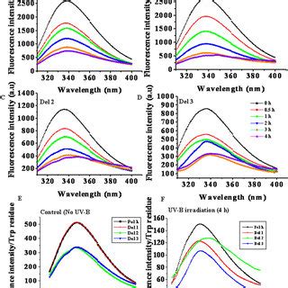 Tryptophan Fluorescence Spectra Of UV B Irradiated Purified Recombinant