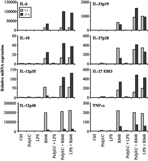 Relative Cytokine Mrna Expression In Tlr Ligand Stimulated Human