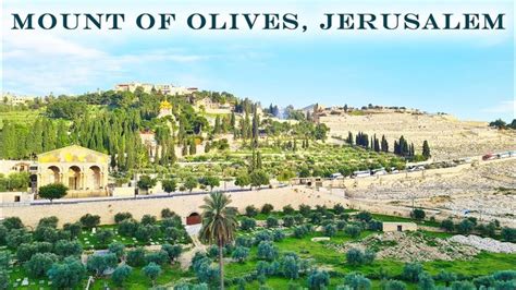 Mount Of Olives Jerusalem Today Virtual Tour In 2023 Virtual Tour