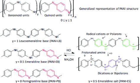 Generalized Representation Of Chemical Structure Of Pani And Its Most