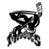 Bossier Shreveport Mudbugs Logo Vector – Brands Logos