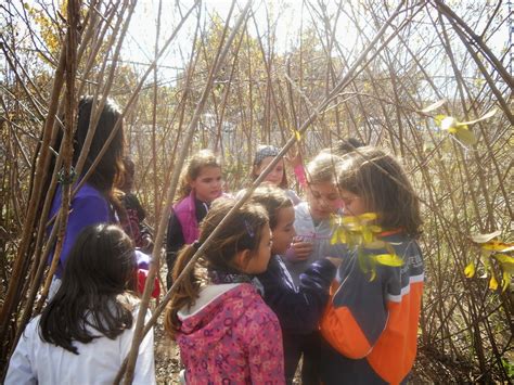 Cicle Mitj Curs Escola Castellum