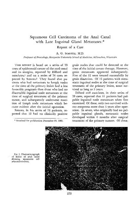 Pdf Squamous Cell Carcinoma Of The Anal Canal With Late Inguinal Gland Metastases Dokumen Tips