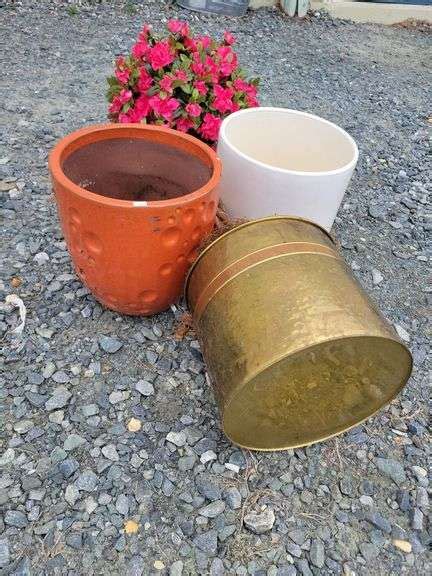 2 Ceramic Flower Pots and Tree - Dixon's Auction at Crumpton