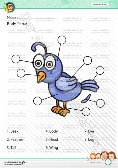 Body Parts Bird 2 Science Worksheets