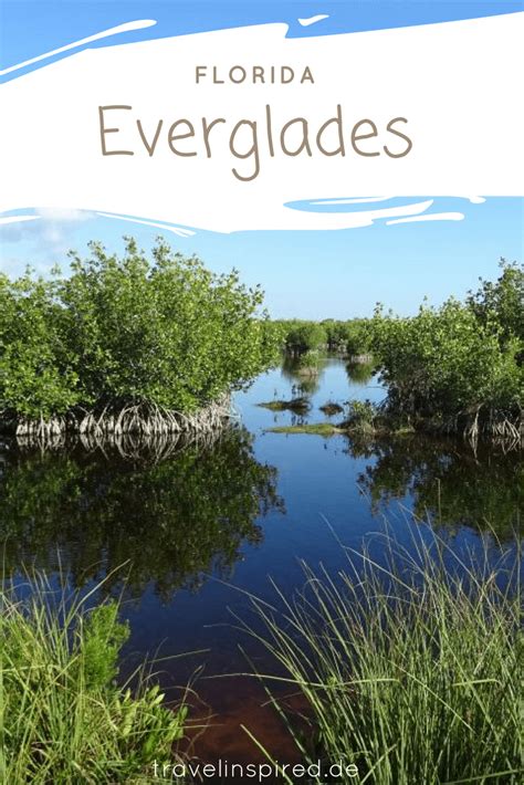 Everglades Tipps Entdecke Den Everglades Nationalpark In Florida Auf