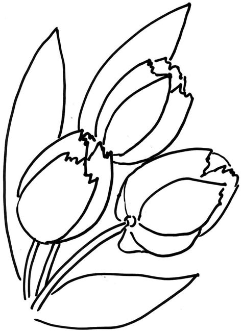 Desenhos De Flor De Tulipas 10 Para Colorir E Imprimir ColorirOnline