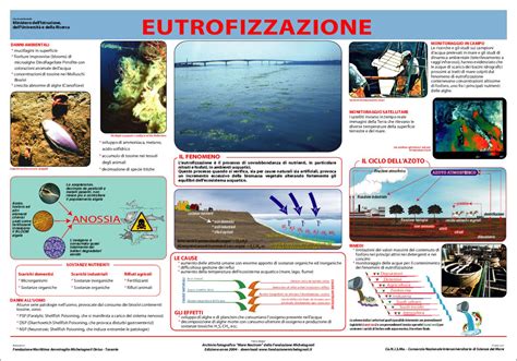 Eutrofizzazione By Bio Consulting Pasquale Bondanese Biologist