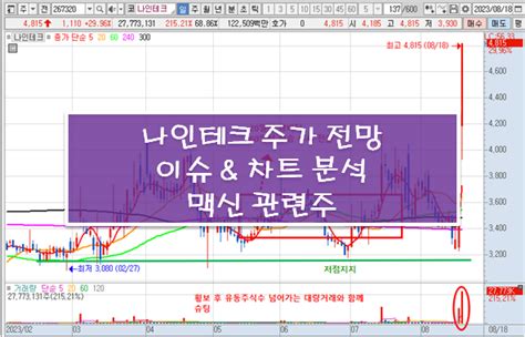 맥신 관련주 나인테크 주가 상한가 이슈 및 차트 분석