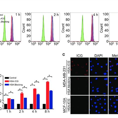 Cell Uptake Of Hsa Icg A Histogram Showing Flow Cytometry Based On