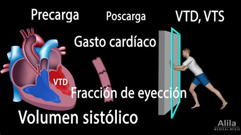 Gasto Card Aco Volumen Sist Lico Vtd Vts Fracci N De Eyecci N